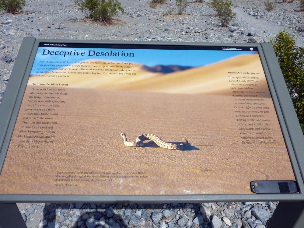 vallée de la mort  (159).JPG